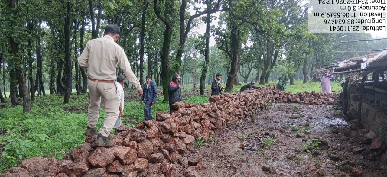 जशपुर में वनभूमि पर सख्त एक्शन: अवैध कब्जा और निर्माण हटाया, अतिक्रमण मुक्त जमीन पर उसी दिन लगाए गए पौधे