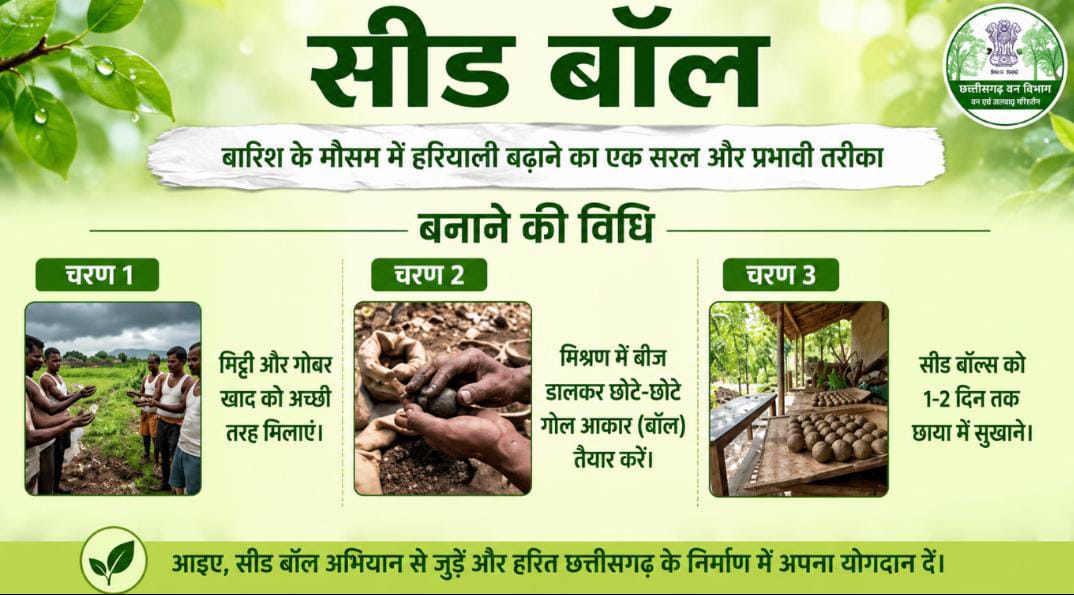 बारिश में फेंकिए सीड बॉल, उगेंगे हजारों पेड़: जनसहभागिता से हरित छत्तीसगढ़ बनाने में जुटा वन विभाग
