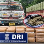 DRI का देशभर में बड़ा ऑपरेशन: रायपुर में 500 किलो के करीब गांजा जब्त, पटना में टीम पर हमला, 13 तस्कर गिरफ्तार