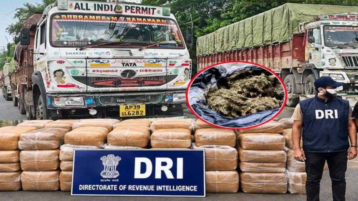 DRI का देशभर में बड़ा ऑपरेशन: रायपुर में 500 किलो के करीब गांजा जब्त, पटना में टीम पर हमला, 13 तस्कर गिरफ्तार