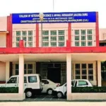 कामधेनु यूनिवर्सिटी की भर्ती पर राजभवन की रोक: इंटरव्यू-नियुक्ति स्थगित, निर्माण कार्यों की जांच पर भी नजर