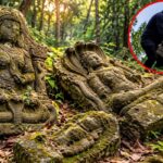 बीजापुर में इतिहास पर तस्करों का खतरा: इंद्रावती के जंगलों में बिखरी 11वीं सदी की सैकड़ों मूर्तियां, सुरक्षा के इंतजाम नहीं